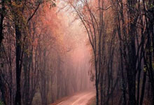 [CBA]常规赛1月1日：北京VS辽宁.