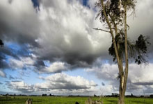 NG28-南宫28:五大联赛每90分钟抢断榜:卡塞米罗4.97次居首,乌加特第4.